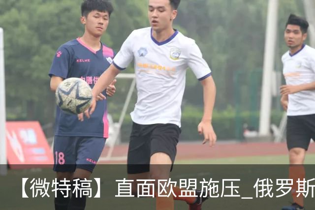 【微特稿】直面欧盟施压 俄罗斯与斯洛伐克欲加强合作