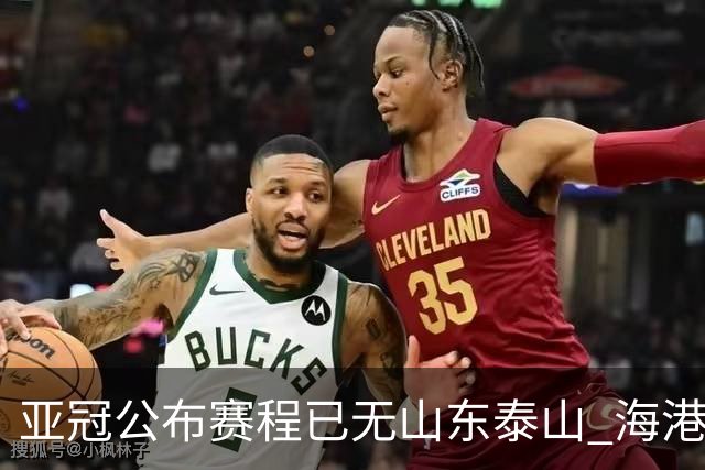 亚冠公布赛程已无山东泰山 海港若递补将赴泰国