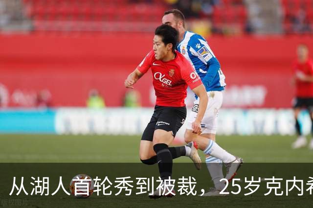 从湖人首轮秀到被裁，25岁克内希特转投尼克斯