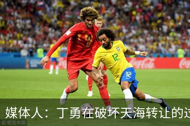 媒体人：丁勇在破坏天海转让的过程中曾拉刘奕下水