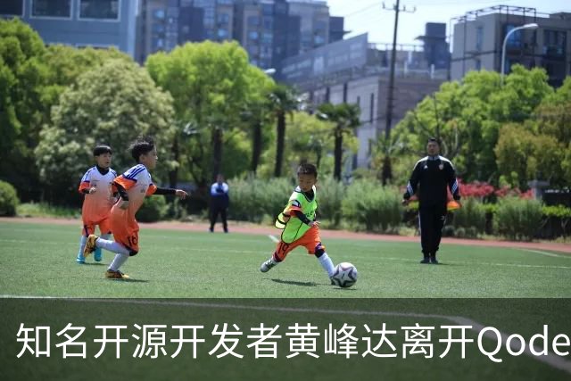 知名开源开发者黄峰达离开Qoder，感慨在阿里要做好产品太难了！