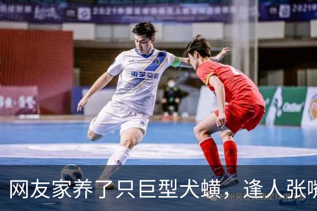 网友家养了只巨型犬蟥，逢人张嘴就开吸，主人无奈带去检查，发现竟是多年前的心太软…狗子：时间一长，地久天长，你的拔犬罐来了…