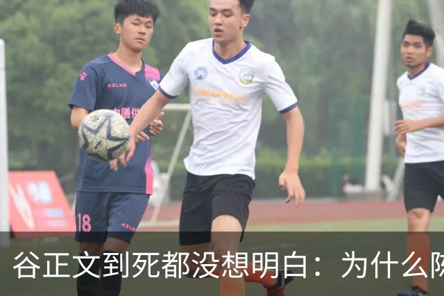 谷正文到死都没想明白：为什么陈宝仓一被捕，吴石就全部都招了！
